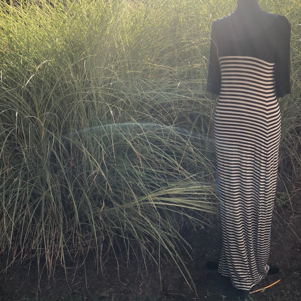 Max Studio medium dress